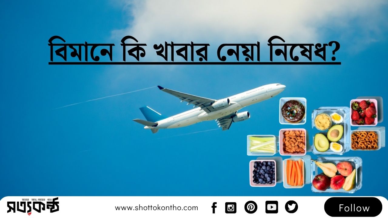 প্লেনে খাবার নেয়ার নিয়ম ২০২৫: বিমানে কি নেয়া যাবে না?